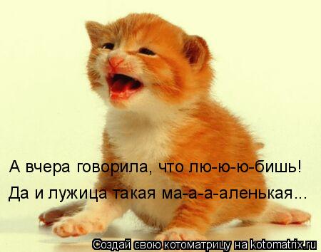 А вчера говорила, что лю-ю-ю-бишь! Да и лужица такая ма-а-а-аленькая...... Котоматрица: А вчера говорила, что лю-ю-ю-бишь! Да и лужица такая ма-а-а-аленькая...