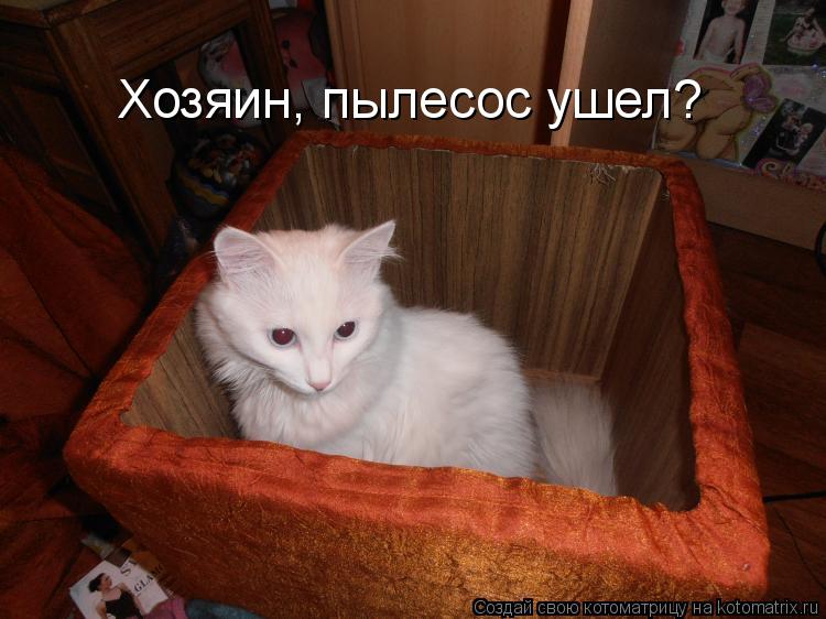 Котоматрица: Хозяин, пылесос ушел?