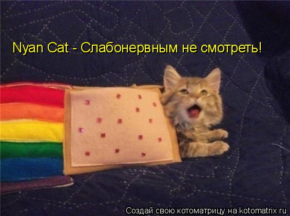 Nyan Cat - Слабонервным не смотреть!... Котоматрица: Nyan Cat - Слабонервным не смотреть!