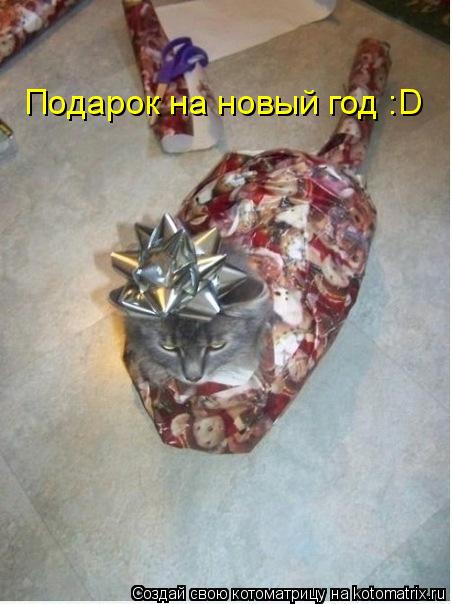 Подарок на новый год :D... Котоматрица: Подарок на новый год :D