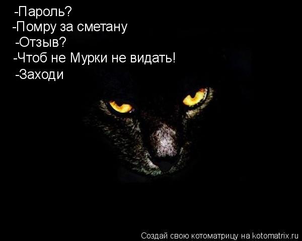 Котоматрица: -Пароль? -Помру за сметану -Отзыв? -Чтоб не Мурки не видать! -Заходи