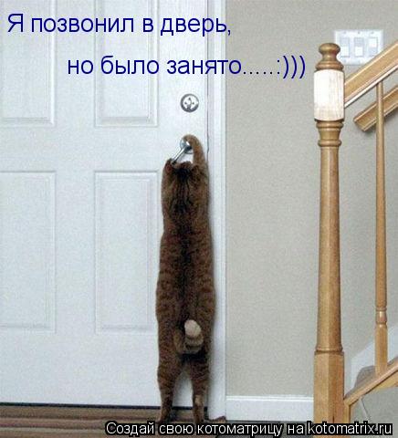 Котоматрица: Я позвонил в дверь,   но было занято.....:)))