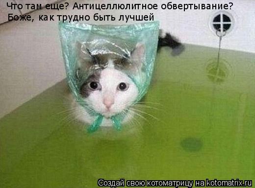 Котоматрица: Что там еще? Антицеллюлитное обвертывание? Боже, как трудно быть лучшей