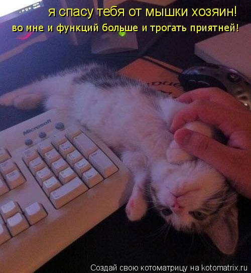 Котоматрица: я спасу тебя от мышки хозяин! во мне и функций больше и трогать приятней!