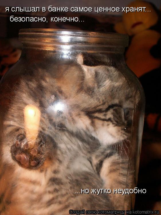 Котоматрица: я слышал в банке самое ценное хранят... безопасно, конечно... ...но жутко неудобно