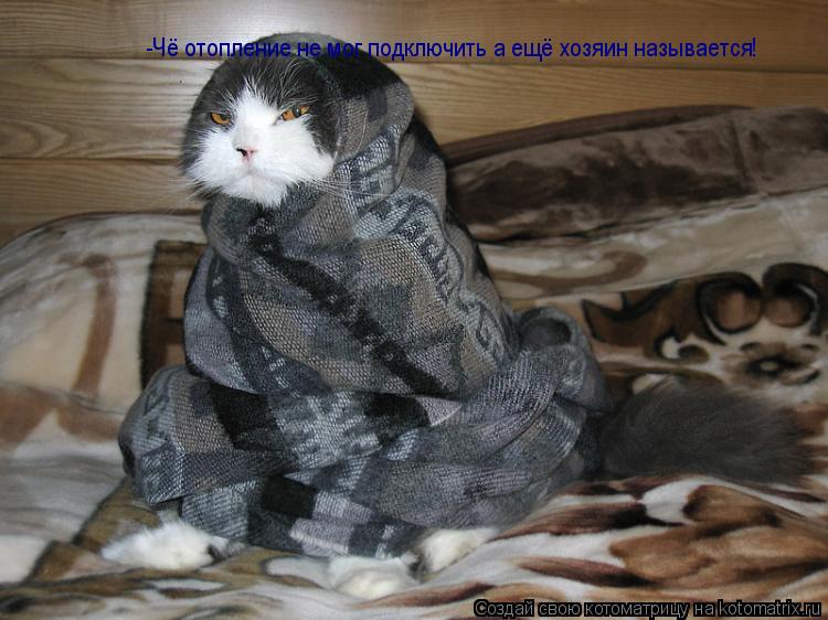 Котоматрица: -Чё отопление не мог подключить а ещё хозяин называется!