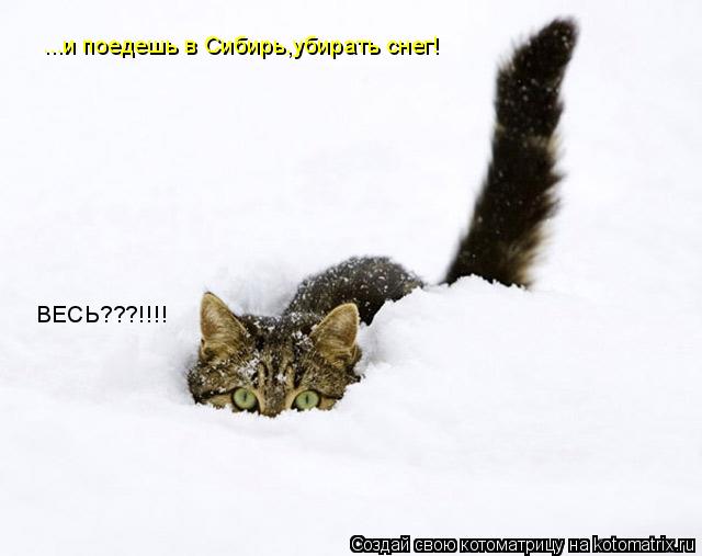 Котоматрица: ...и поедешь в Сибирь,убирать снег! ВЕСЬ???!!!!