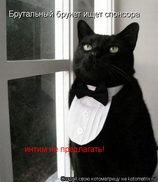 Котоматрица: Брутальный брунет ищет спонсора интим не предлагать!