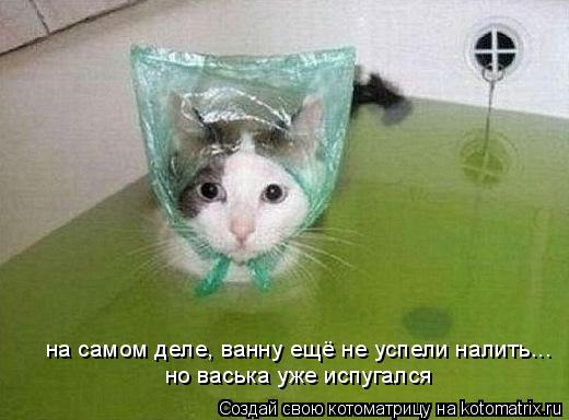 Котоматрица: на самом деле, ванну ещё не успели налить... но васька уже испугался