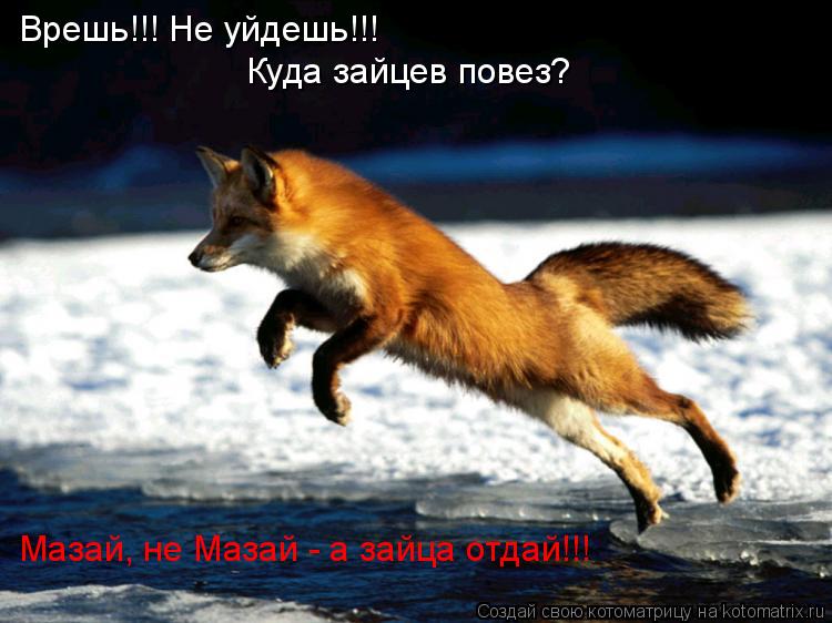 Врешь!!! Не уйдешь!!! Куда зайцев повез? Мазай, не Мазай - а зайца отдай!!!... Котоматрица: Врешь!!! Не уйдешь!!! Куда зайцев повез? Мазай, не Мазай - а зайца отдай!!!