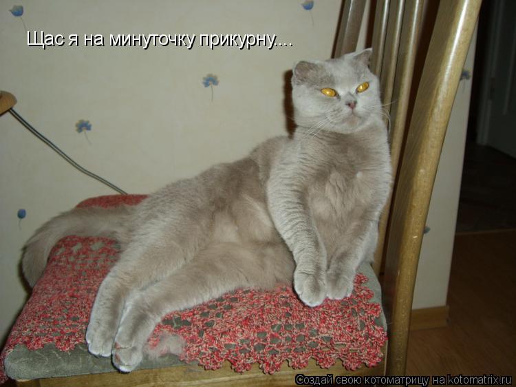 Котоматрица: Щас я на минуточку прикурну....