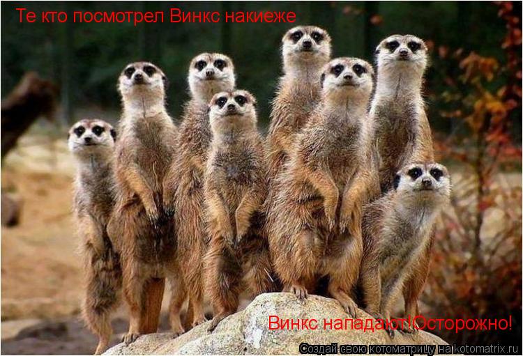 Котоматрица: Те кто посмотрел Винкс накиеже Винкс нападают!Осторожно!