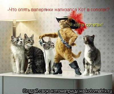 Котоматрица: -Что опять валерянки нализалса Кот в сопогах? -Я кот в сопагах!