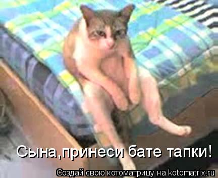 Котоматрица: Сына,принеси бате тапки!
