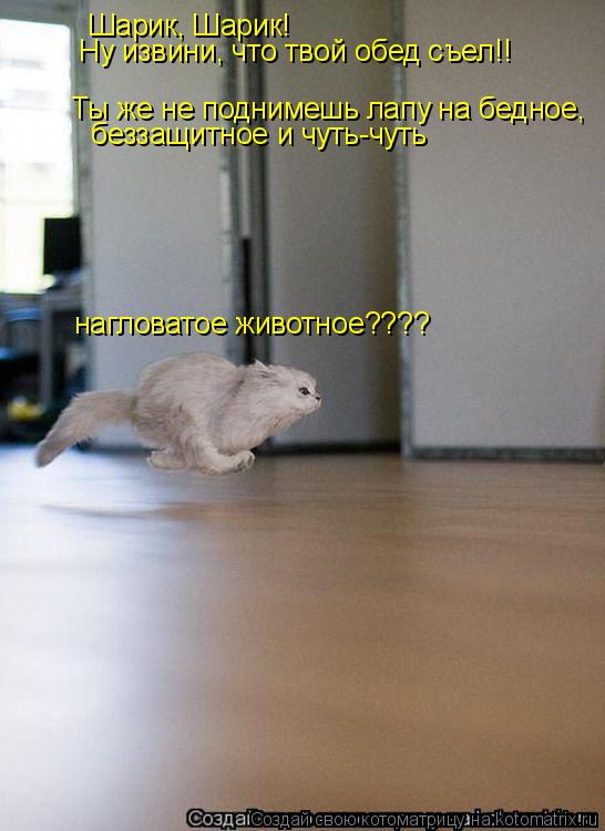 Шарик, Шарик! Ну извини, что твой обед съел!! Ты же не поднимешь лапу на бедное, беззащитное и чуть-... Котоматрица: Шарик, Шарик! Ну извини, что твой обед съел!! Ты же не поднимешь лапу на бедное, беззащитное и чуть-чуть нагловатое животное????