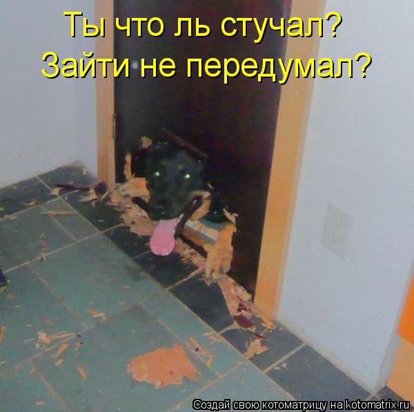 Ты что ль стучал? Зайти не передумал?... Котоматрица: Ты что ль стучал? Зайти не передумал?