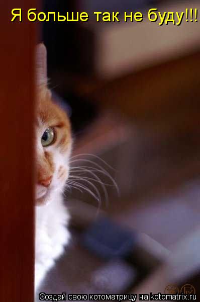 Котоматрица: Я больше так не буду!!!