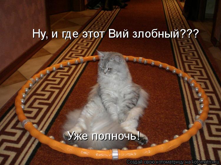 Котоматрица: Ну, и где этот Вий злобный??? Уже полночь!