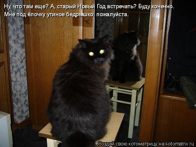 Котоматрица: Ну, что там еще? А, старый Новый Год встречать? Буду конечно. Мне под ёлочку утиное бедрышко, пожалуйста.