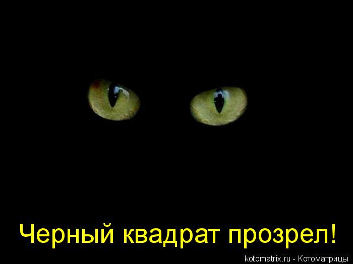Котоматрица: Черный квадрат прозрел!