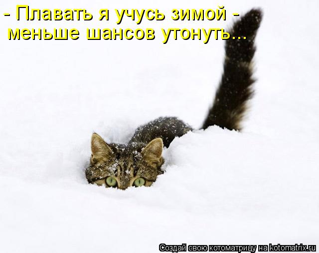 Котоматрица: - Плавать я учусь зимой -  меньше шансов утонуть...