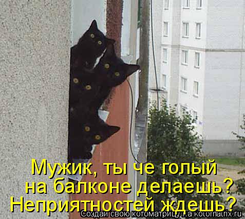 Котоматрица: Мужик, ты че голый  на балконе делаешь? Неприятностей ждешь?