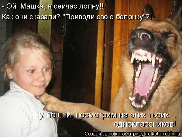 Котоматрица: - Ой, Машка, я сейчас лопну!!! Как они сказали? "Приводи свою болонку"?! Ну, пошли, посмотрим на этих твоих... одноклассников!