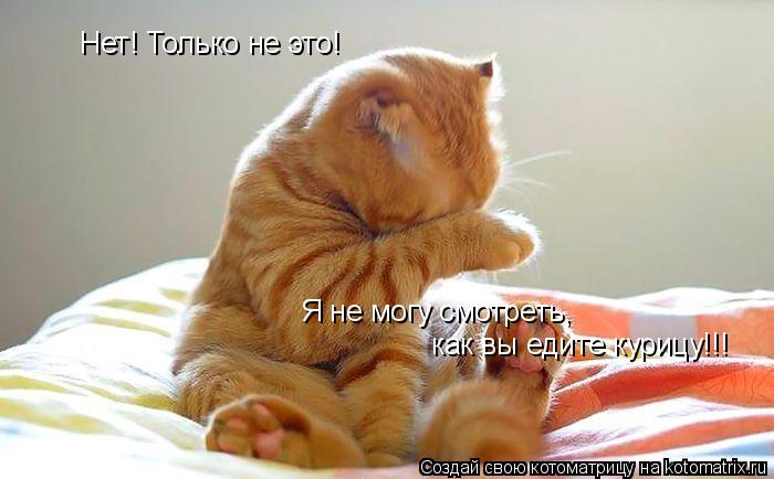 Котоматрица: Нет! Только не это! Я не могу смотреть, как вы едите курицу!!!