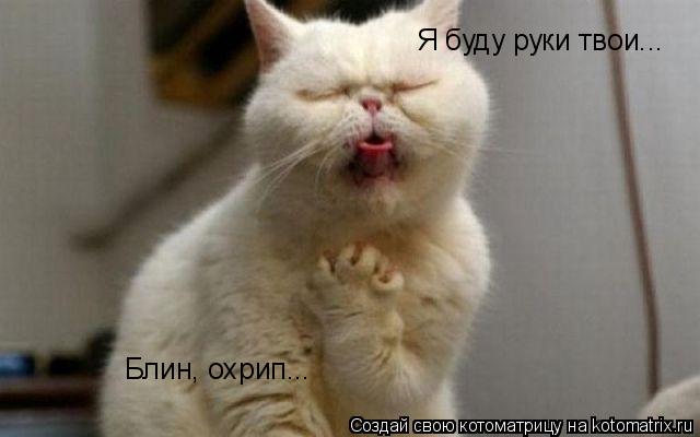 Котоматрица: Я буду руки твои... Блин, охрип...