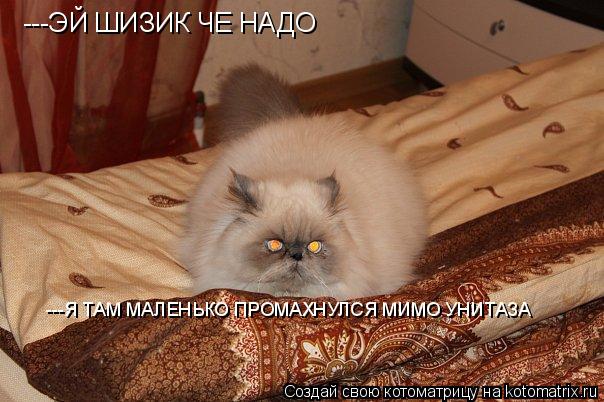 Котоматрица: ---ЭЙ ШИЗИК ЧЕ НАДО ---Я ТАМ МАЛЕНЬКО ПРОМАХНУЛСЯ МИМО УНИТАЗА