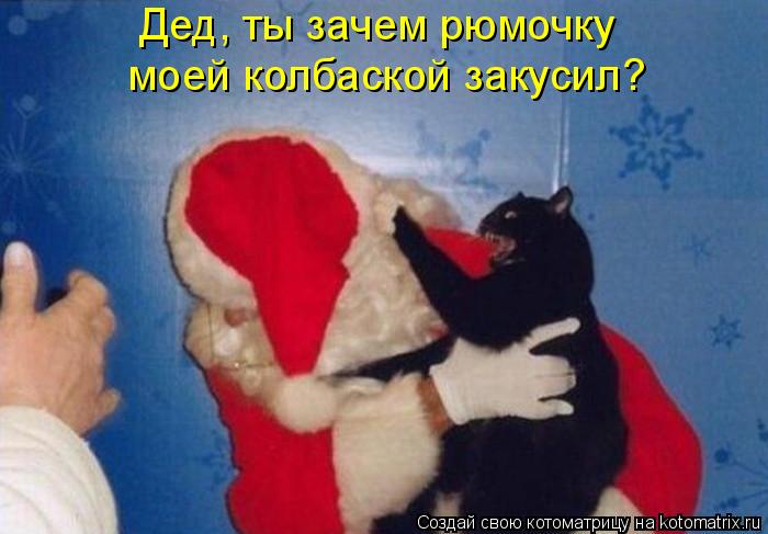 Котоматрица: Дед, ты зачем рюмочку  моей колбаской закусил?