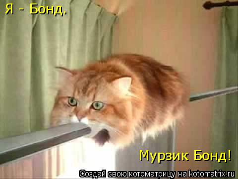 Котоматрица: Я - Бонд. Мурзик Бонд!