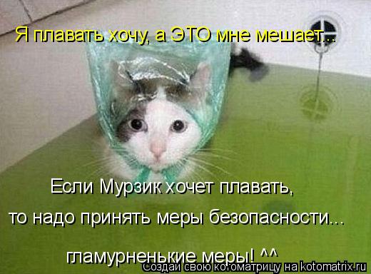 Котоматрица: Я плавать хочу, а ЭТО мне мешает... Если Мурзик хочет плавать, то надо принять меры безопасности... гламурненькие меры! ^^