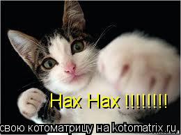 Котоматрица: Нах Нах !!!!!!!!