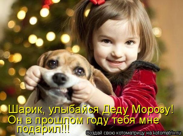 Котоматрица: Шарик, улыбайся Деду Морозу! подарил!!! Он в прошлом году тебя мне