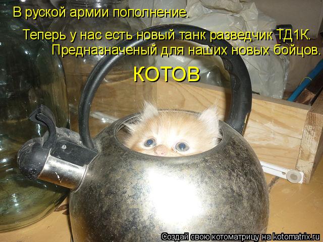 Котоматрица: В руской армии пополнение. Теперь у нас есть новый танк разведчик ТД1К. Предназначеный для наших новых бойцов. КОТОВ