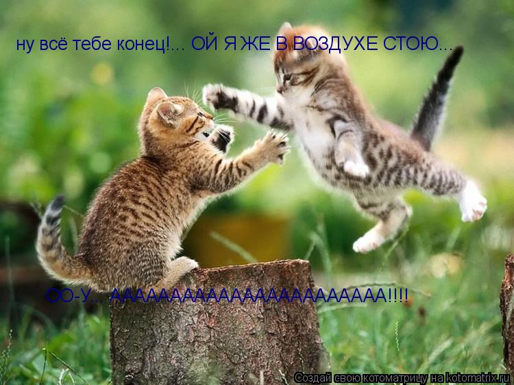 Котоматрица: ну всё тебе конец!... ОЙ Я ЖЕ В ВОЗДУХЕ СТОЮ... ОО-У... ААААААААААААААААААААААА!!!!