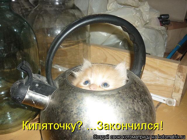 Котоматрица: Кипяточку? ...Закончился!