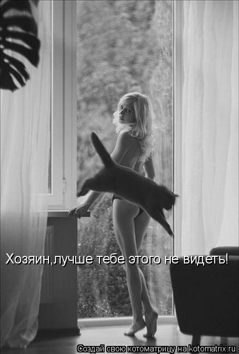 Хозяин,лучше тебе этого не видеть!... Котоматрица: Хозяин,лучше тебе этого не видеть!