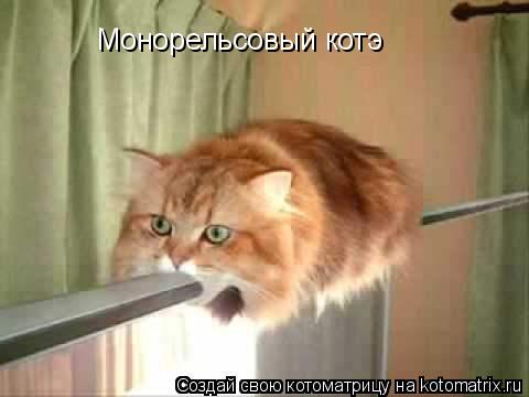 Котоматрица: Монорельсовый котэ
