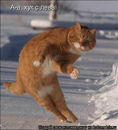 Котоматрица: А-а, хук с лева!