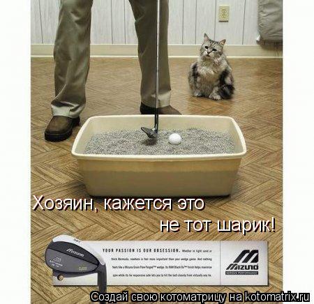 Котоматрица: Хозяин, кажется это не тот шарик! не тот шарик! Хозяин, кажется это