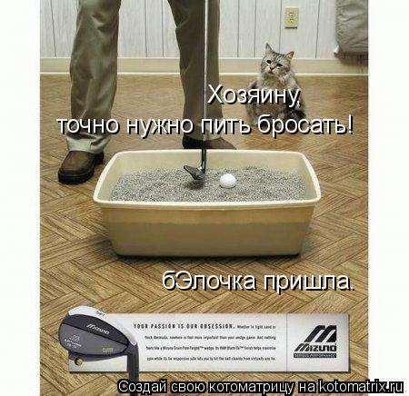 Котоматрица: Хозяину,  точно нужно пить бросать! бЭлочка пришла.