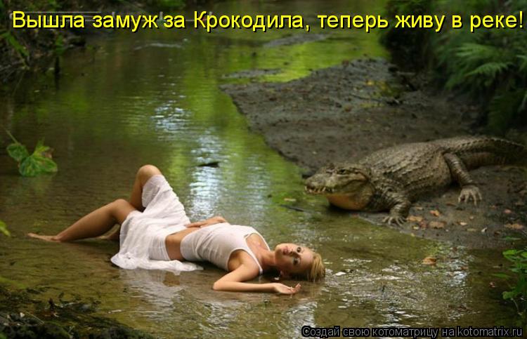 Котоматрица: Вышла замуж за Крокодила, теперь живу в реке!
