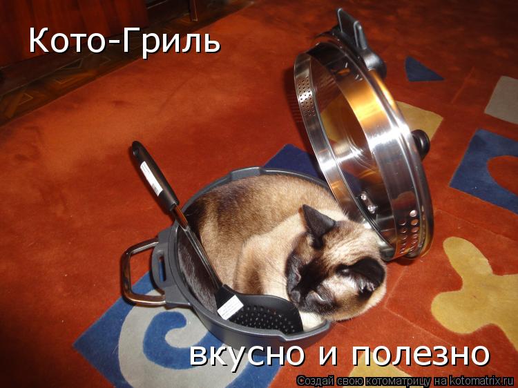 Котоматрица: Кото-Гриль вкусно и полезно