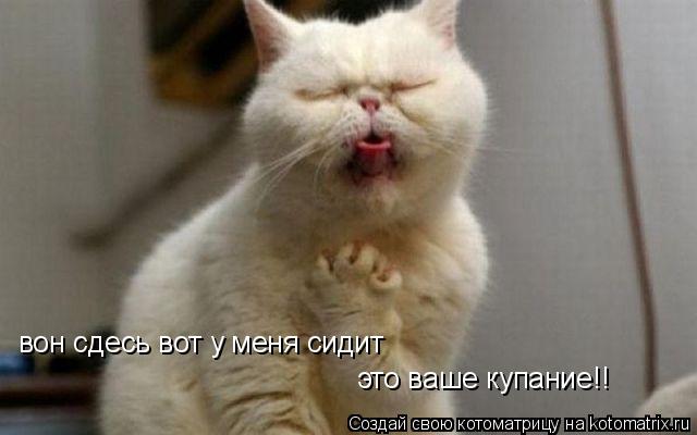 Котоматрица: вон сдесь вот у меня сидит это ваше купание!!