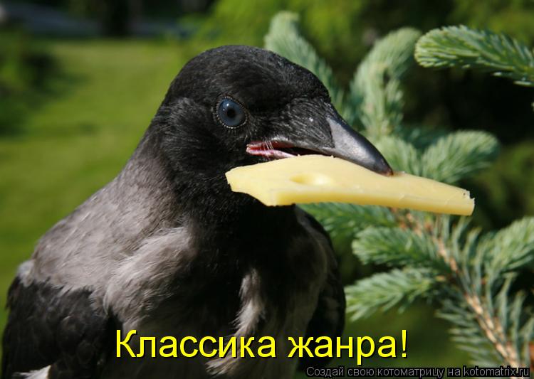 Котоматрица: Классика жанра!
