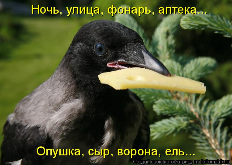 Котоматрица: Ночь, улица, фонарь, аптека... Опушка, сыр, ворона, ель...