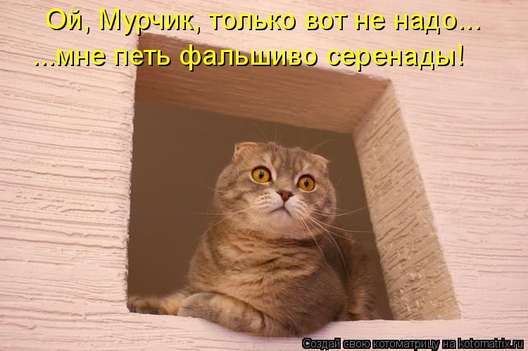Котоматрица: Ой, Мурчик, только вот не надо... ...мне петь фальшиво серенады!