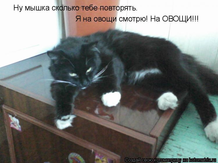Котоматрица: Ну мышка сколько тебе повторять. Я на овощи смотрю! На ОВОЩИ!!!